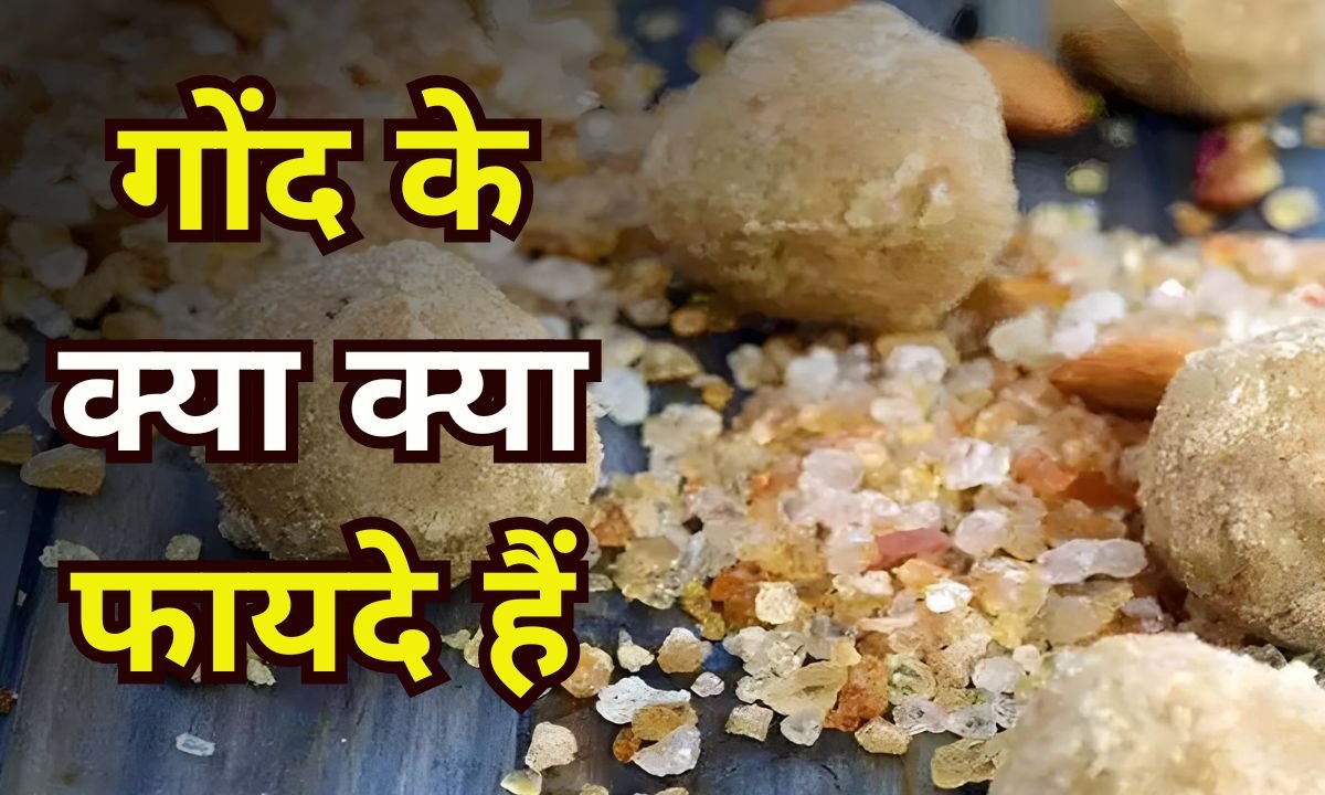 Gond ke Fayde
