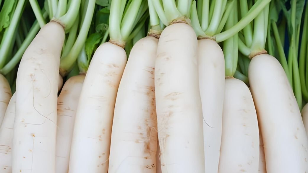 Benefits Of Radish In Winter