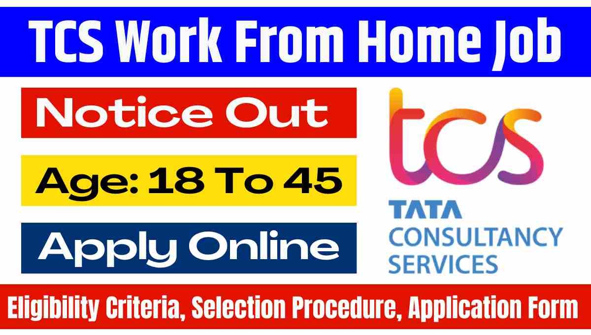 Tata TCS Work From Home Job